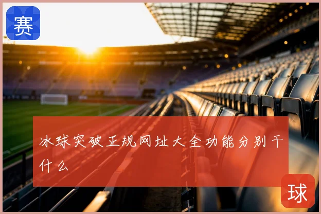 冰球突破正规网址大全功能分别干什么